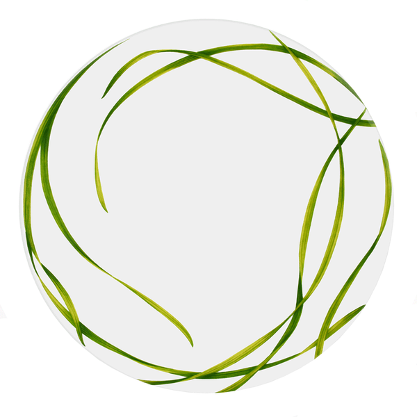 Life in Green - Dinner Plate (Set of 4)