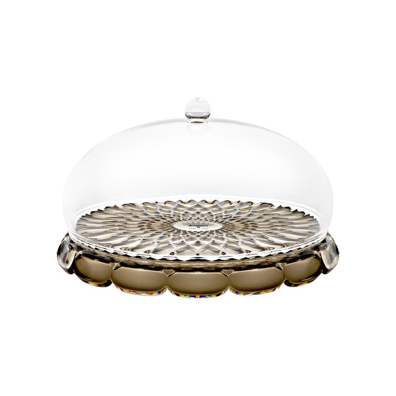 Vanity - Small Cake Serving with Dome Earth Smoke