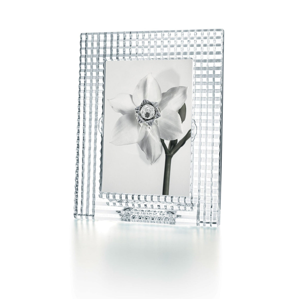 Aexit 55mmx20mm 2 fori D-Ring Picture Photo Frame gancio appeso tono argento 100 pz ID: 551280 Aexit 55mmx20mm 2 fori D-Ring Picture Photo Frame gancio appeso tono argento 100 pz ID: 551280