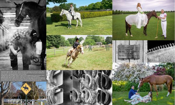 Book - Equestrian Life in the Hamptons