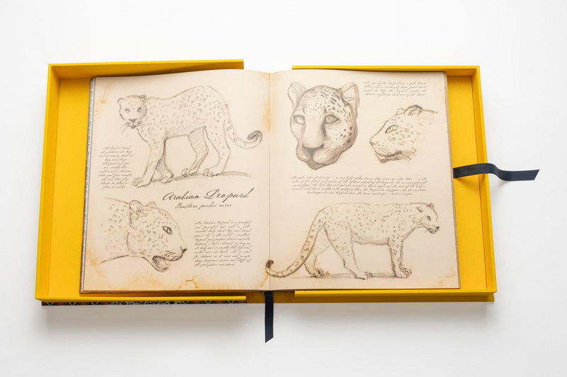 Book - The Impossible Collection of Arabian Leopard