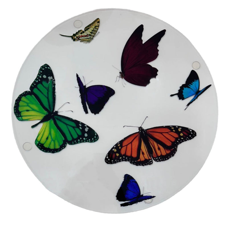 Placemats - Round Butterflies with Clear Backround (Set of 4)