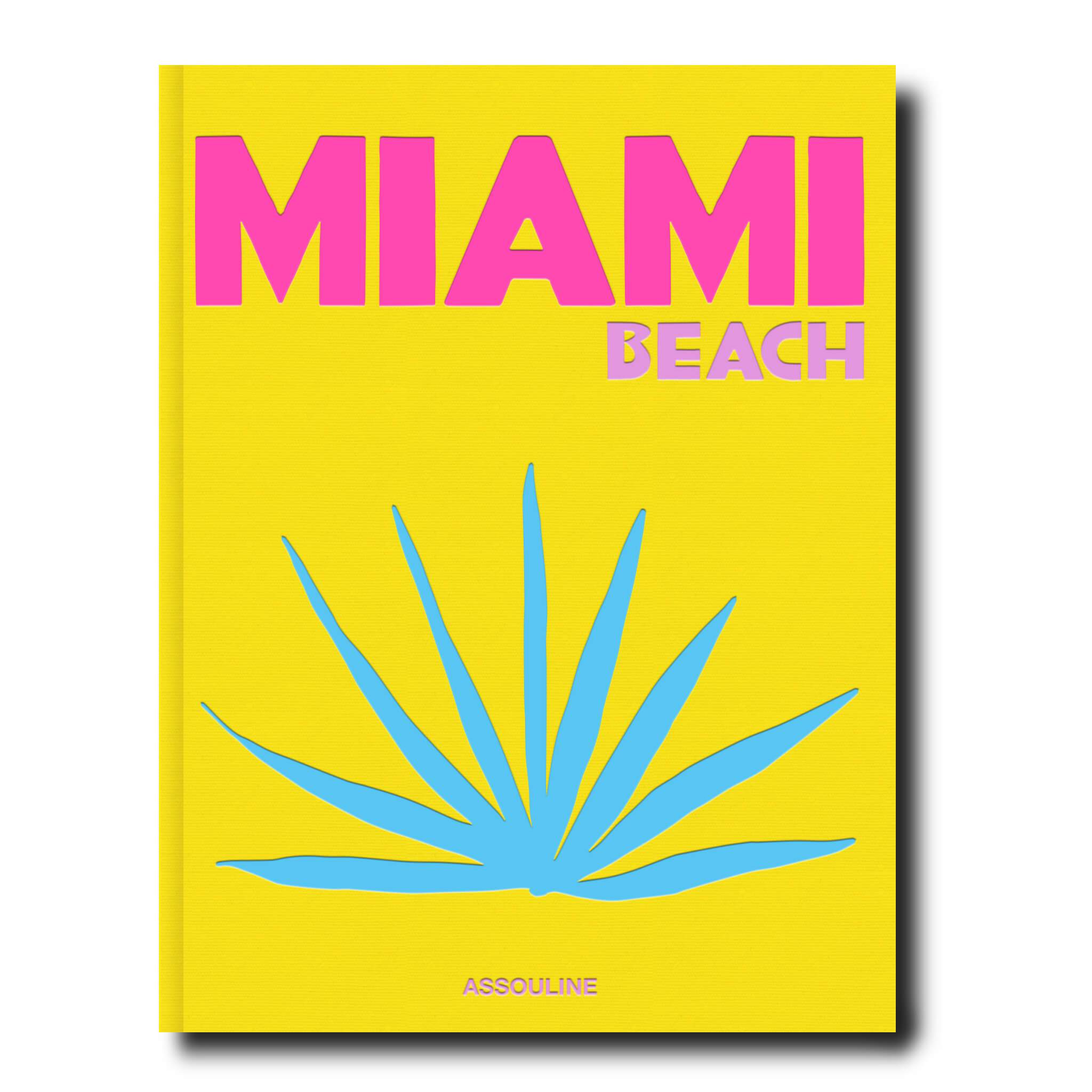 Book - Miami Beach