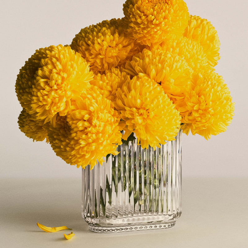 Bernadotte - Oval Glass Vase
