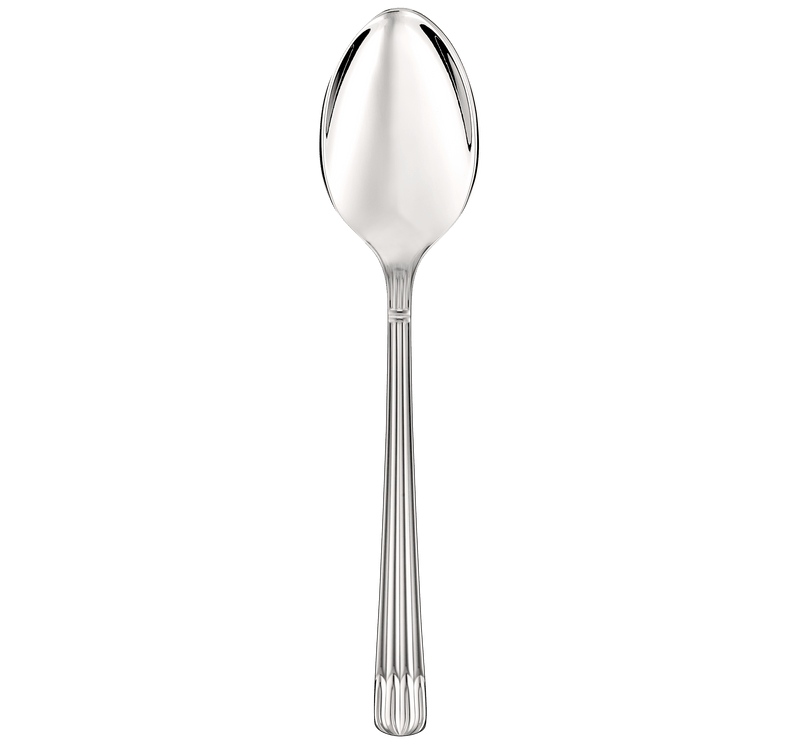 Osiris - Stainless Steel Serving Spoon