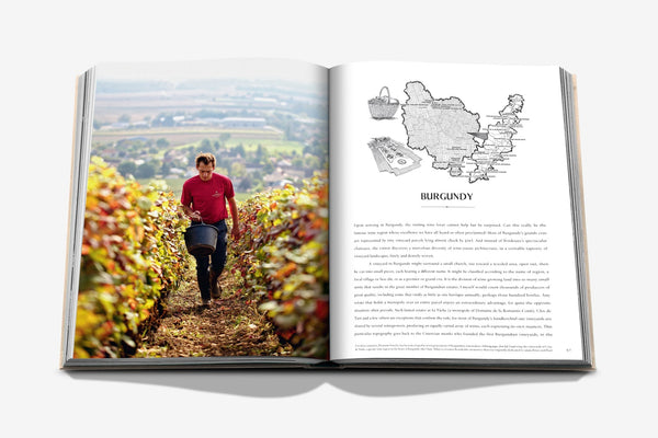 Book - Wine & Travel France