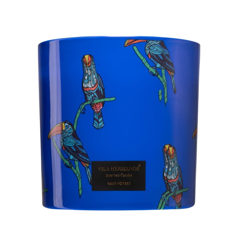 Jungletopia - Blue Rain Forest Candle 650