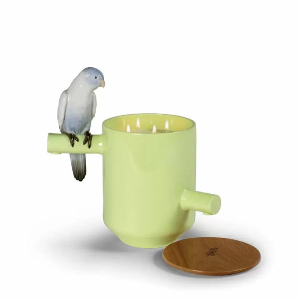 Parrot's Scented Treasure Candle Yellow