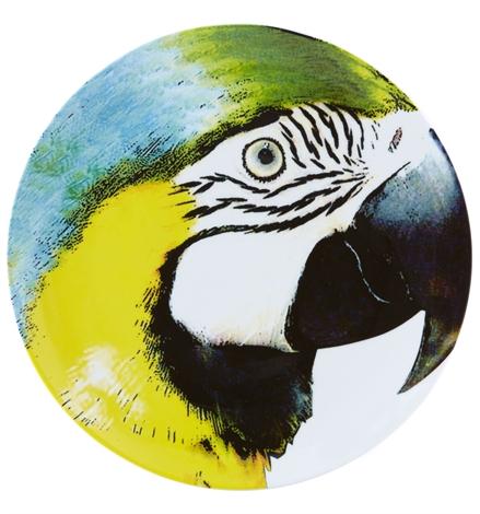 Olhar O Brasil - Charger Plate Yellow Bellied Macaw