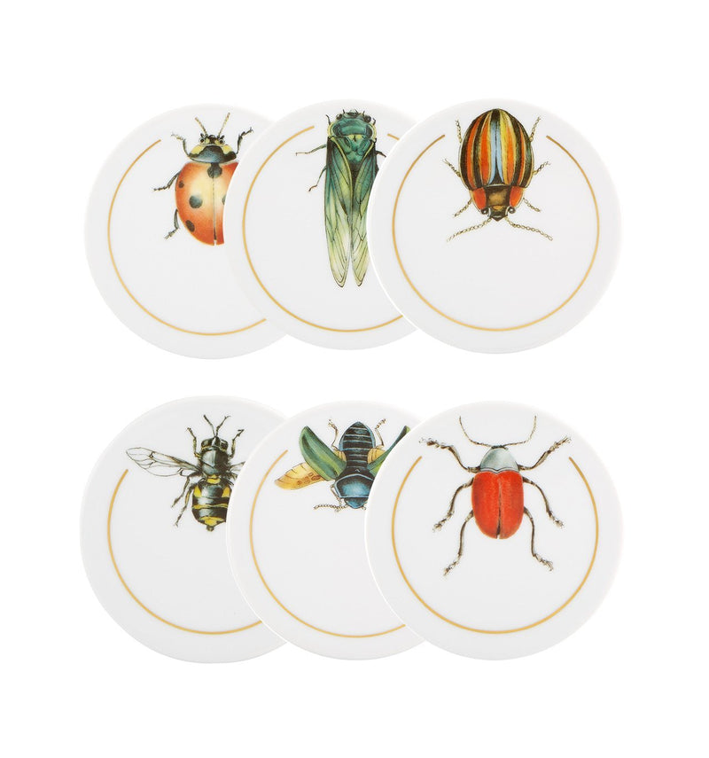 Insects - Set Of 6 Coasters