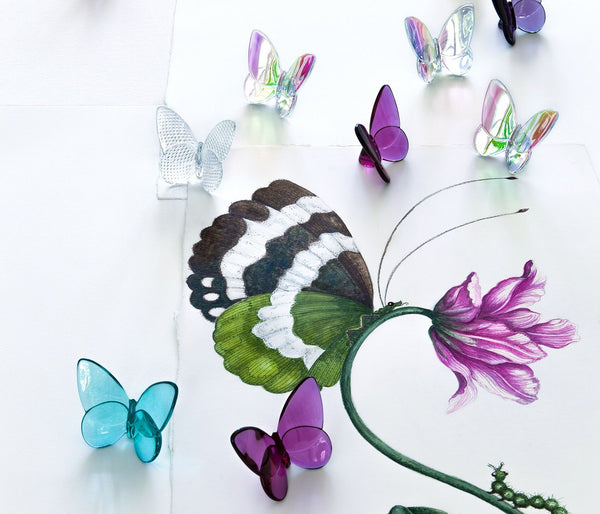 Papillon - Litmus Lucky Butterfly