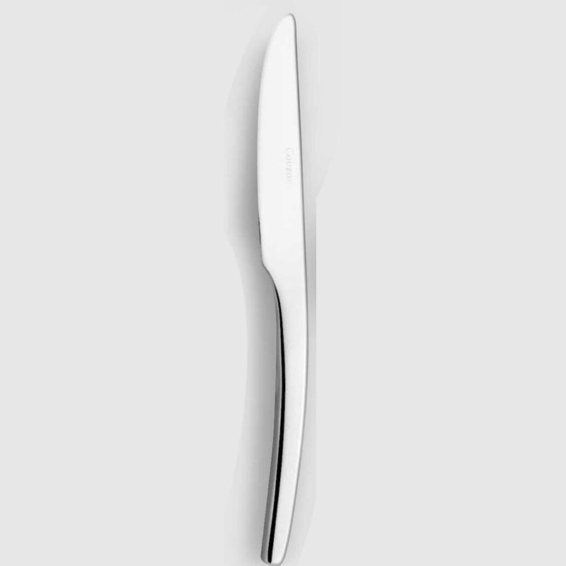 Steel - Stainless  Table Knife