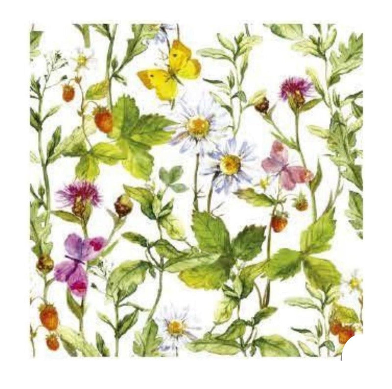 Butterfly - Tablecloths F71 - 106"x59"