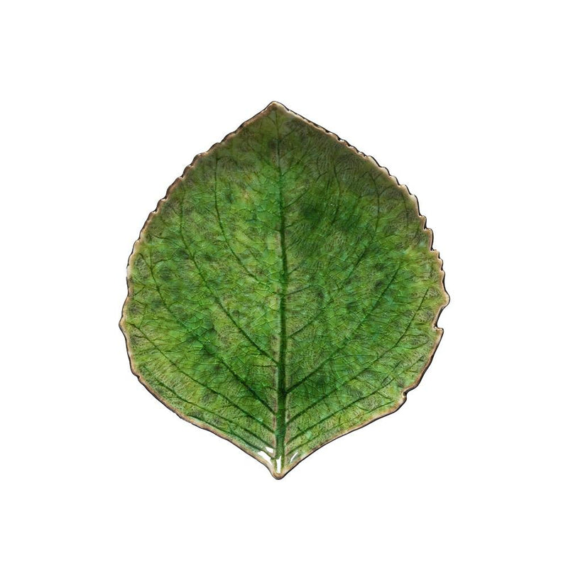 Riviera tomate - Small hydrangea leaf
