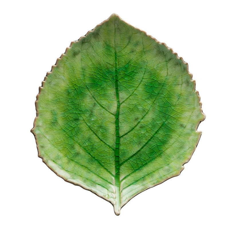 Riviera tomate - Big hydrangea leaf